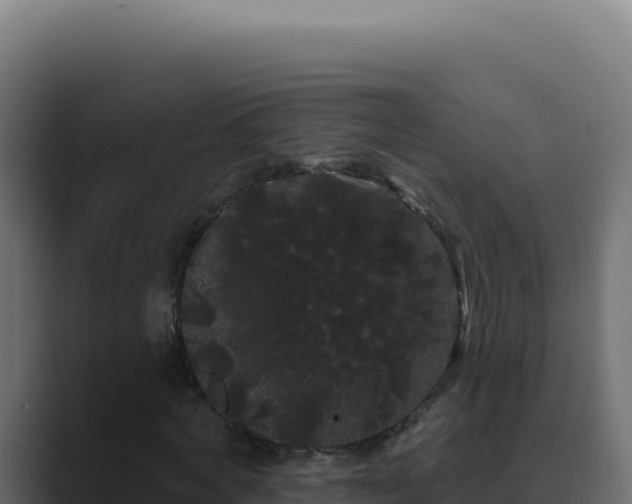 X0000089760772200706281643