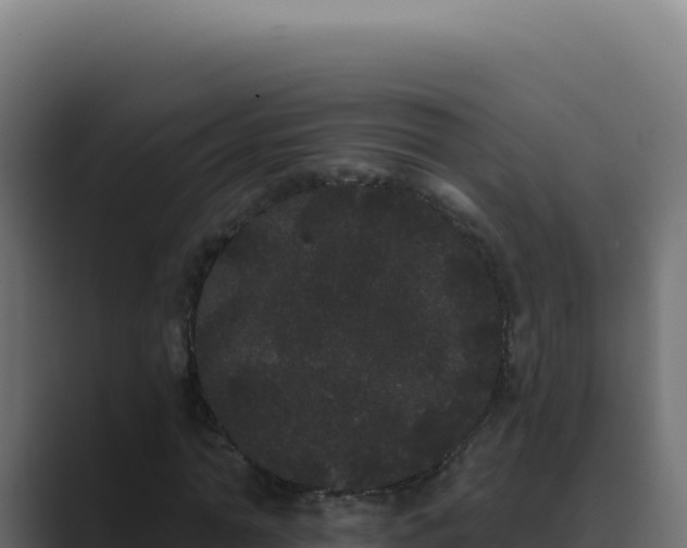 X0000089760774200706281643