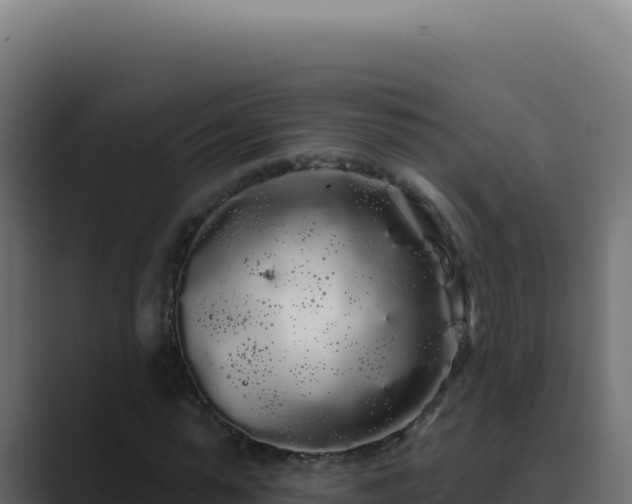 X0000089760775200706281643