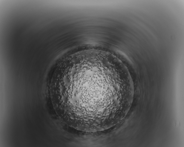 X0000089760776200706281643