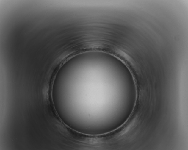 X0000089760778200706281643