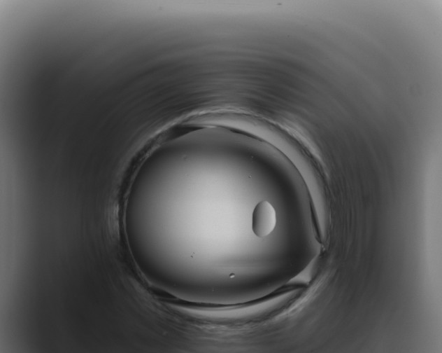X0000089760781200706281643