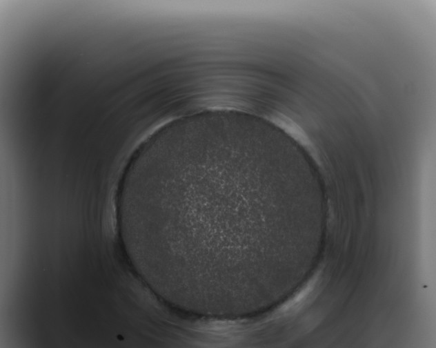 X0000089760782200706281643