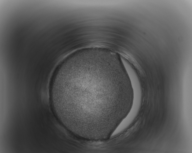 X0000089760784200706281643