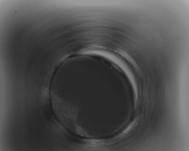 X0000089760785200706281643