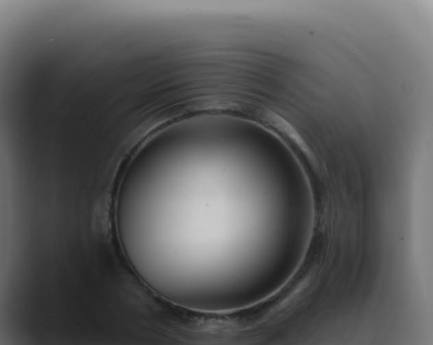 X0000089760786200706281643