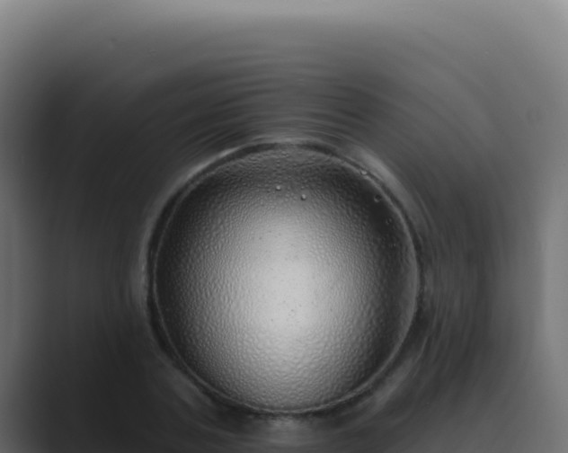 X0000089760787200706281643