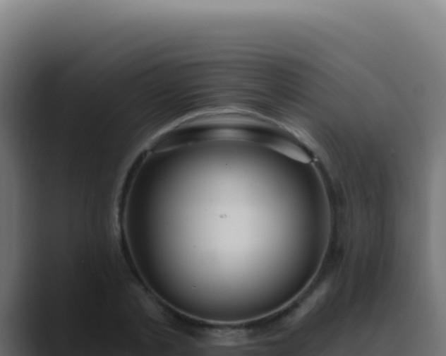 X0000089760789200706281643