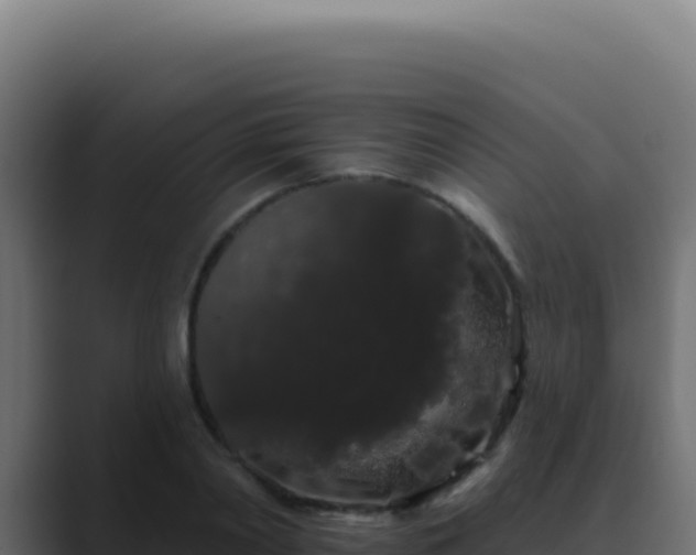 X0000089760790200706281643