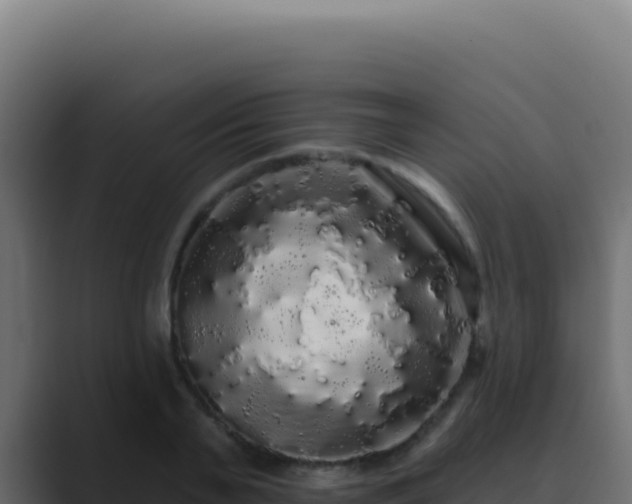 X0000089760791200706281642