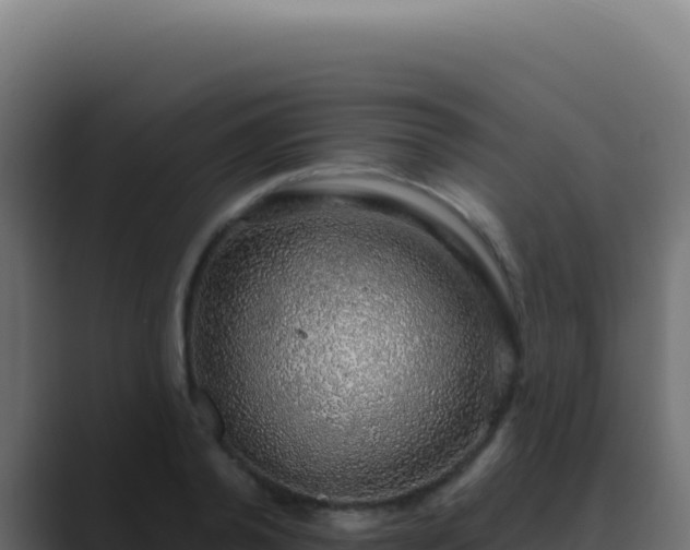 X0000089760792200706281642
