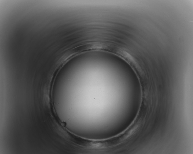 X0000089760794200706281642