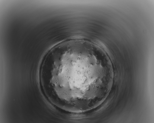 X0000089760795200706281642