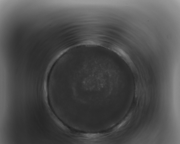 X0000089760796200706281642