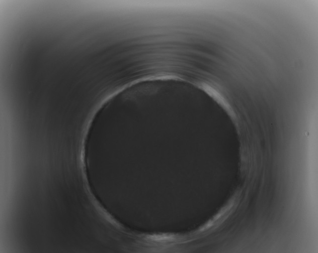 X0000089760797200706281642