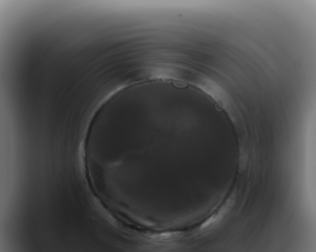 X0000089760798200706281642