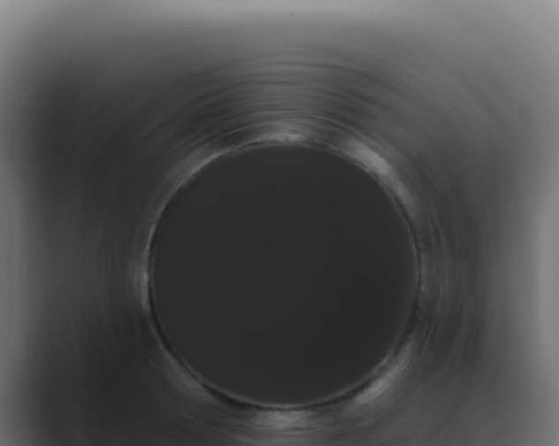 X0000089760802200706281642