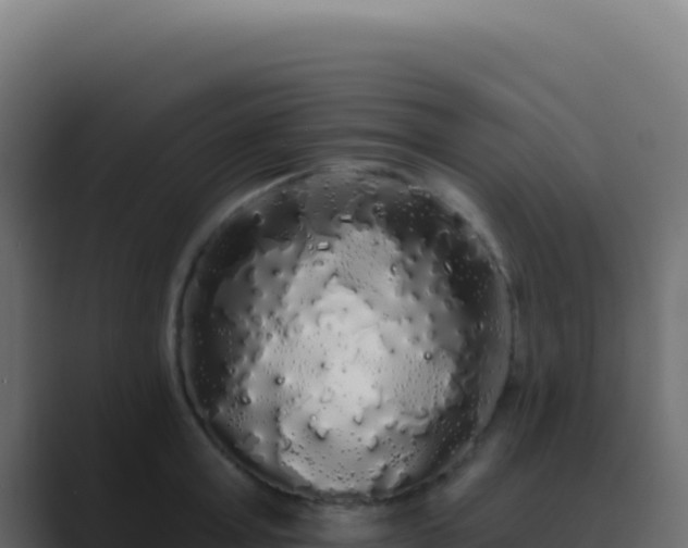 X0000089760803200706281642
