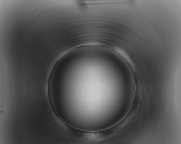 X0000089760805200706281642