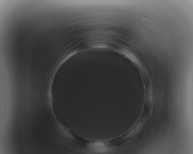 X0000089760806200706281642