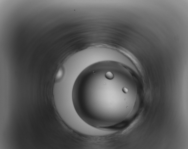X0000089760809200706281642