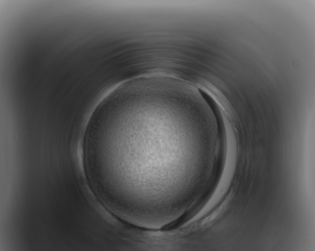 X0000089760812200706281642