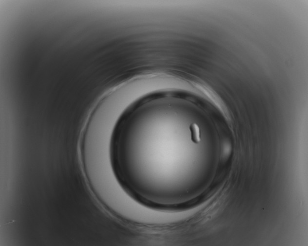 X0000089760813200706281642