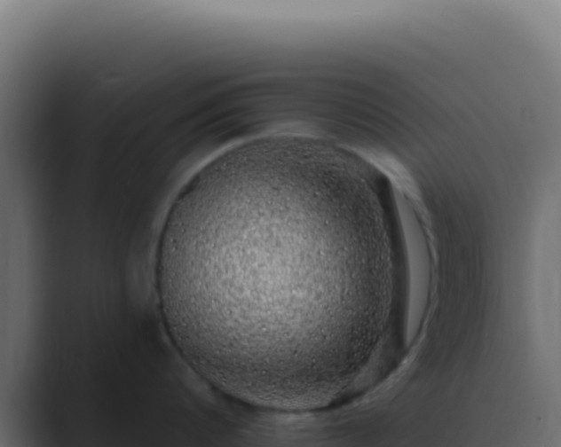 X0000089760816200706281642