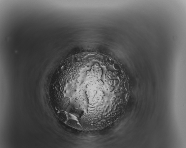 X0000089760817200706281642
