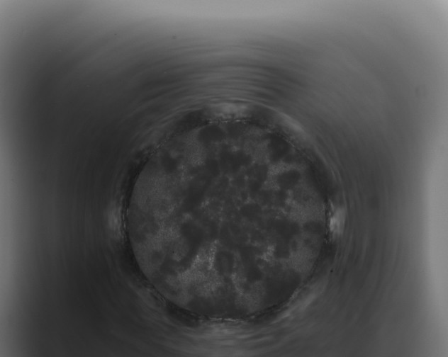 X0000089760819200706281642