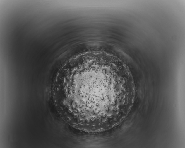 X0000089760821200706281642