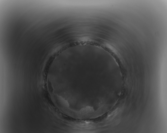 X0000089760823200706281642