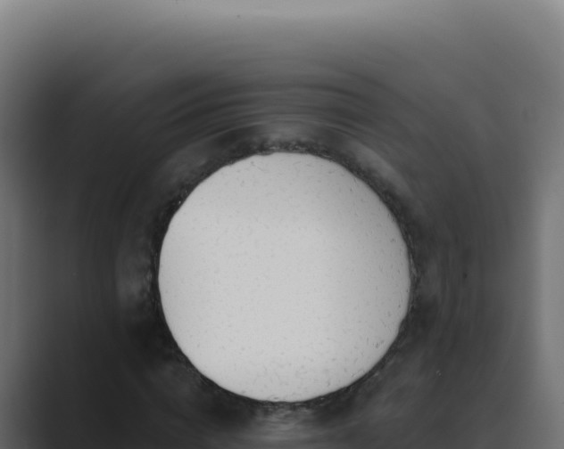 X0000089760824200706281642
