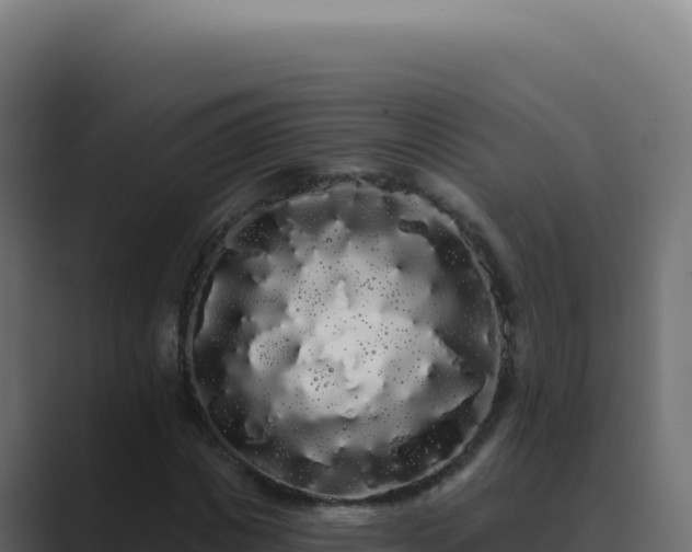 X0000089760825200706281642
