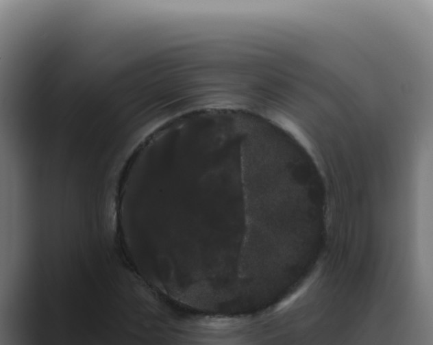 X0000089760829200706281642