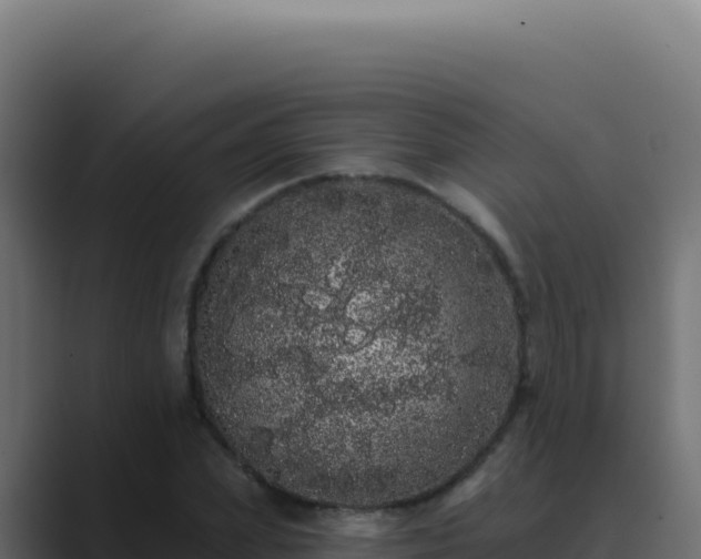X0000089760831200706281642