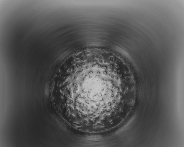 X0000089760833200706281642