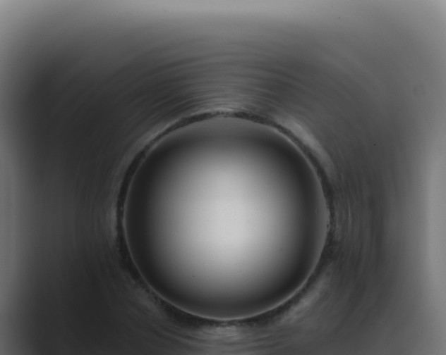 X0000089760834200706281642