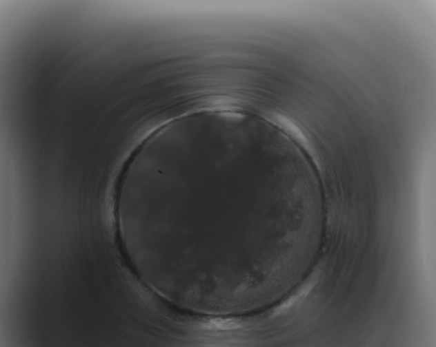 X0000089760835200706281642