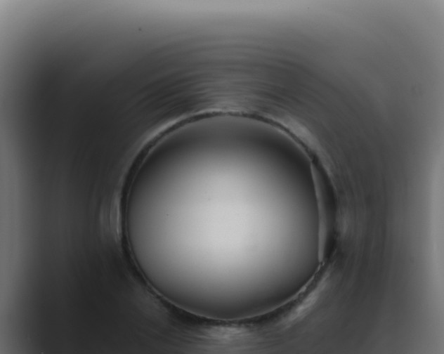 X0000089760838200706281642
