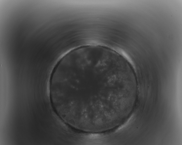 X0000089760839200706281642