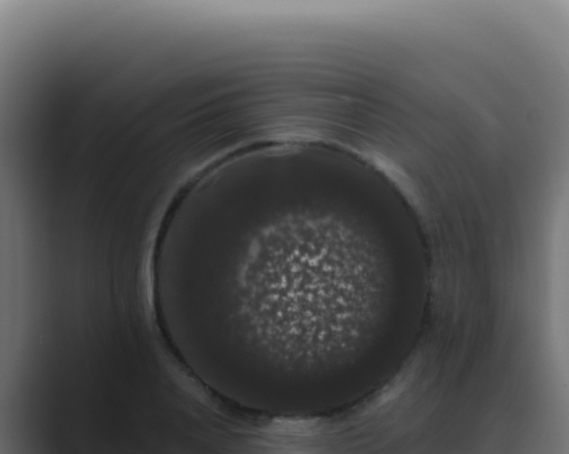 X0000089760840200706281642