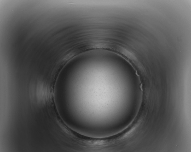 X0000089760841200706281642
