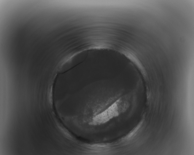 X0000089760842200706281642