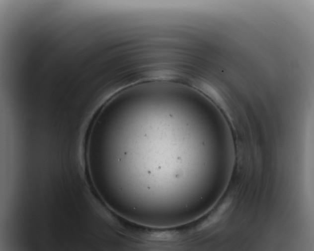 X0000089760843200706281642