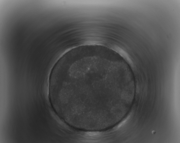 X0000089760844200706281642