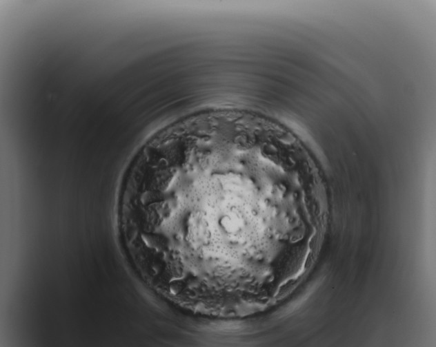 X0000089760845200706281642