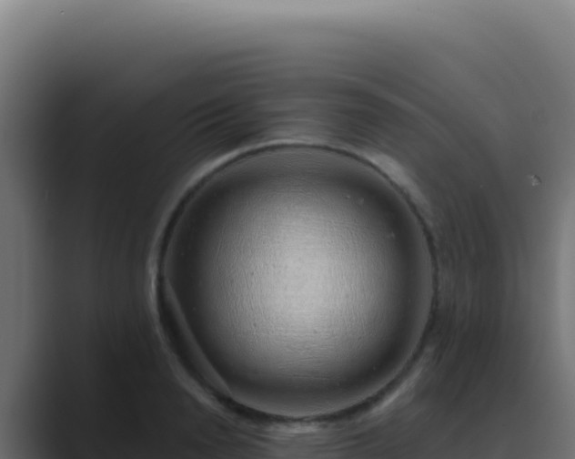 X0000089760846200706281642