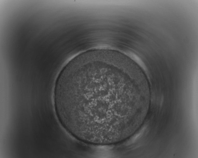 X0000089760847200706281642