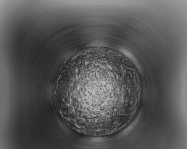 X0000089760849200706281642